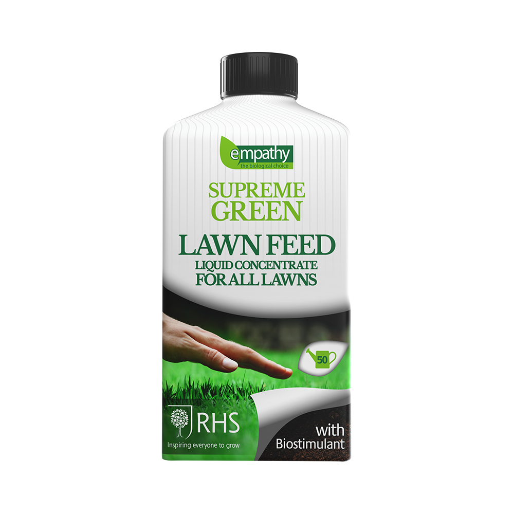 Lawn feed deals and seed