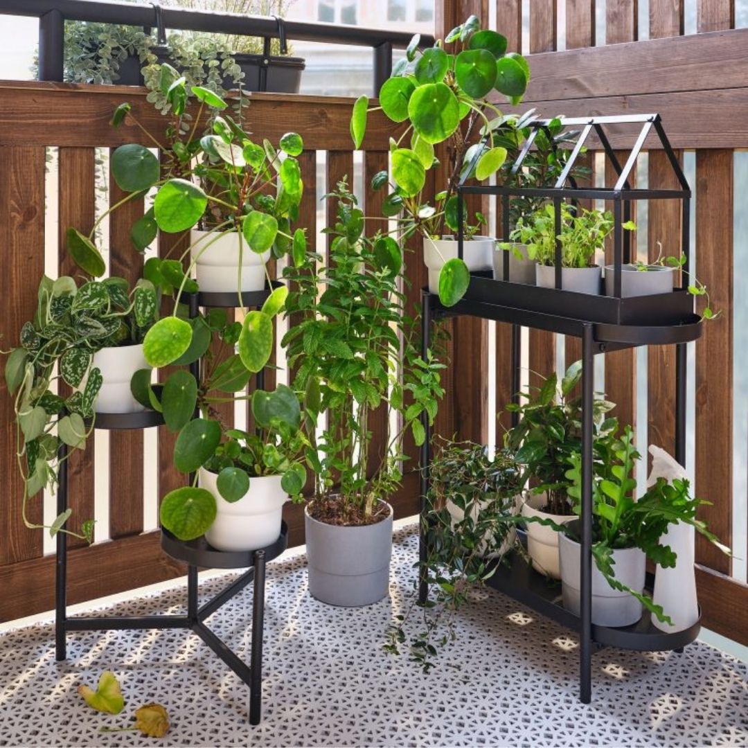 Balcony-garden-ideas