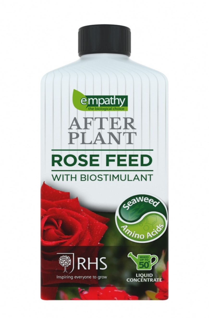 After Plant rose feed