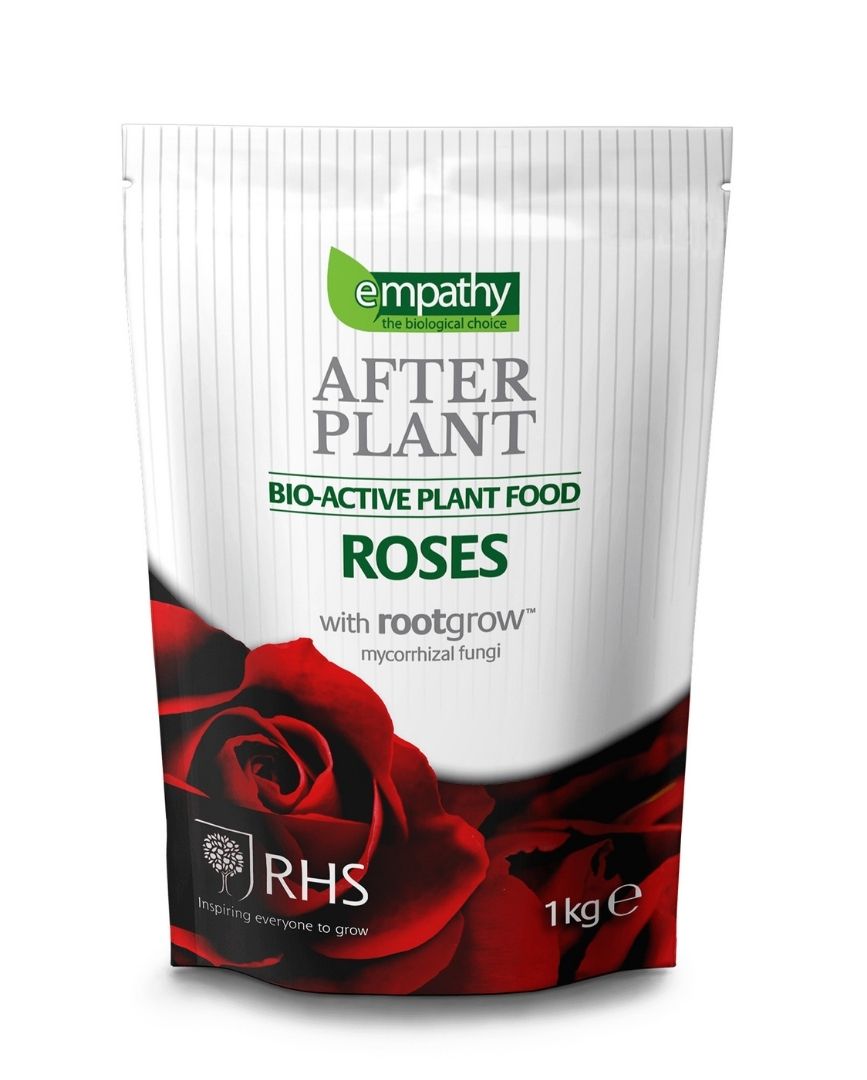 After Plant rose